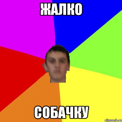 Жалко собачку