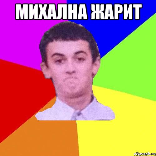 Михална жарит 