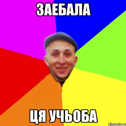 Заебала ця учьоба