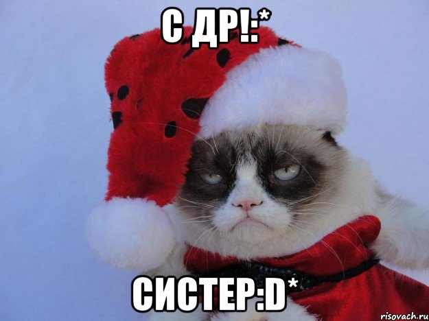 С ДР!:* СИСТЕР:D*, Мем   С нг кароч