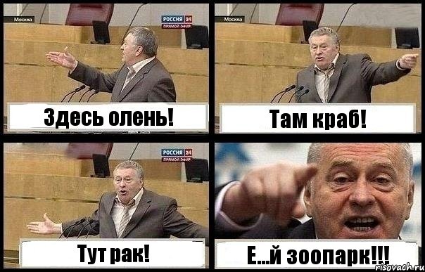 Здесь олень! Там краб! Тут рак! Е...й зоопарк!!!, Комикс с Жириновским