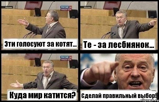 Эти голосуют за котят... Те - за лесбиянок... Куда мир катится? Сделай правильный выбор!, Комикс с Жириновским