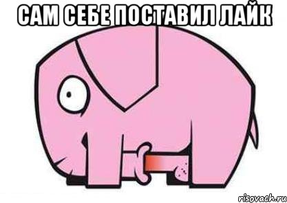 сам себе поставил лайк 