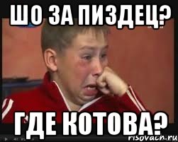 шо за пиздец? где Котова?