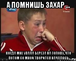 а помнишь захар ... когда мне упала береза на голову..что потом со мной творится началось
