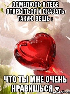 Признание девушке ты мне нравишься Признание девушке ты мне нравишься