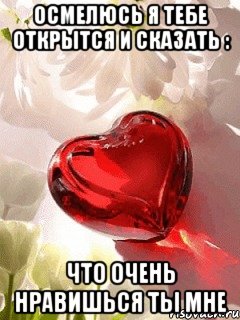 осмелюсь я тебе открытся и сказать : что очень нравишься ты мне