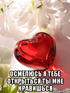  осмелюсь я тебе открыться ты мне нравишься