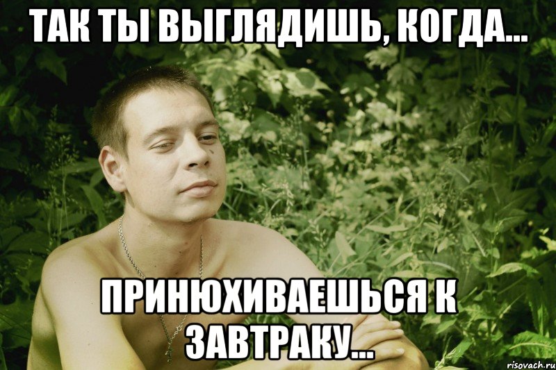 Так ты выглядишь, когда... Принюхиваешься к завтраку..., Мем Сережка ЗД