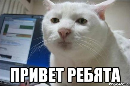  привет ребята