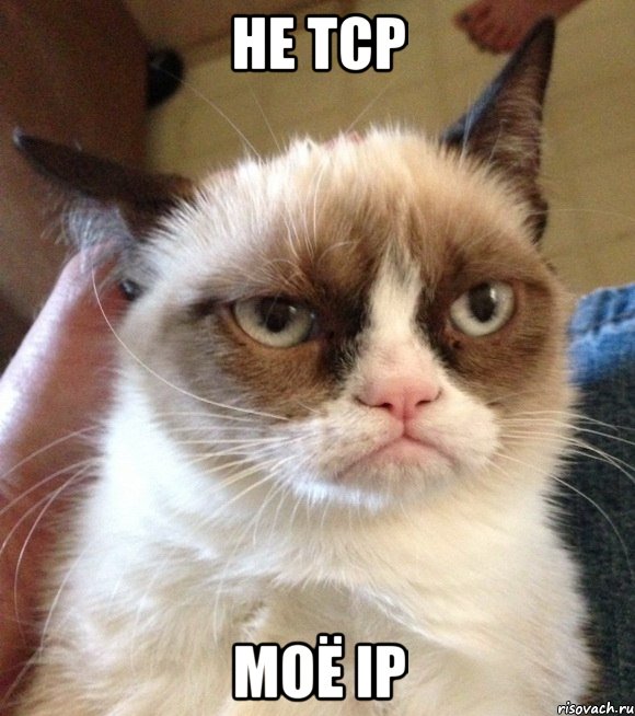 НЕ TCP моё IP, Мем Грустный (сварливый) кот