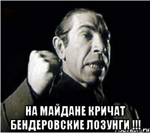  На майдане кричат бендеровские лозунги !!!