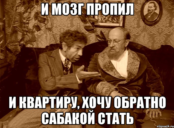 и мозг пропил и квартиру, хочу обратно сабакой стать
