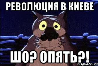 Революция в Киеве Шо? Опять?!, Мем Шо Опять