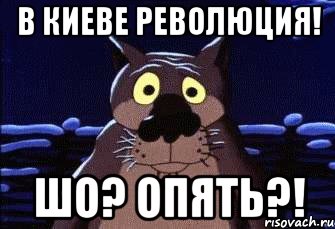 В Киеве революция! Шо? Опять?!