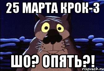 25 марта Крок-3 Шо? Опять?!, Мем Шо Опять