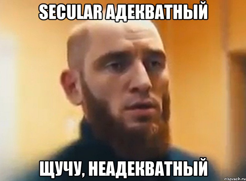 Secular адекватный Щучу, неадекватный, Мем Шучу