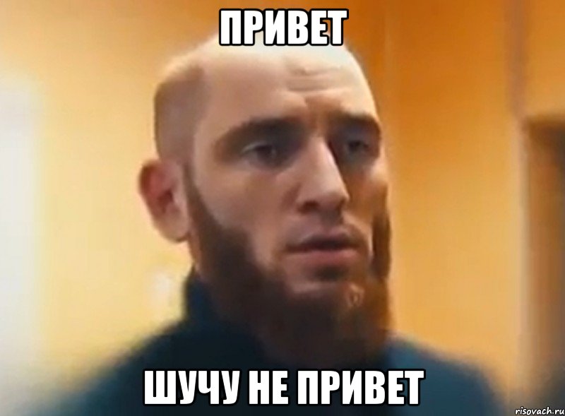 Привет Шучу не привет, Мем Шучу