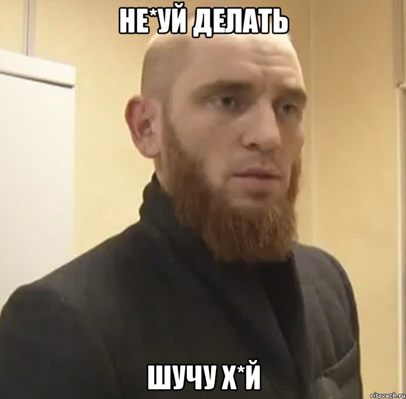 Не*уй делать Шучу х*й, Мем Шучу