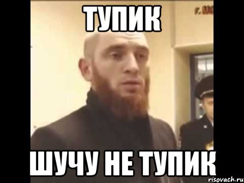 тупик шучу не тупик, Мем Шучу