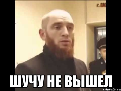  Шучу не вышел, Мем Шучу