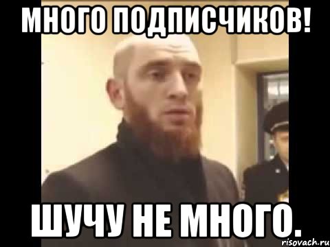 много подписчиков! Шучу не много., Мем Шучу