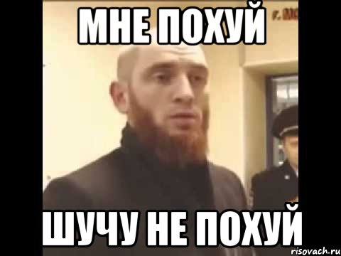 Мне похуй Шучу не похуй, Мем Шучу