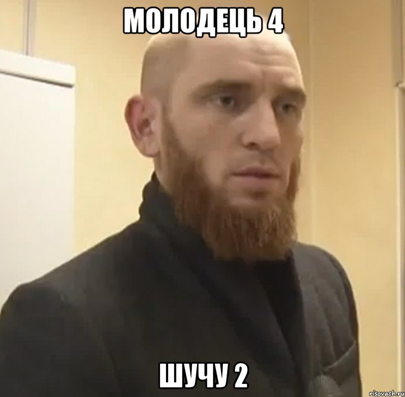 молодець 4 шучу 2, Мем Шучу