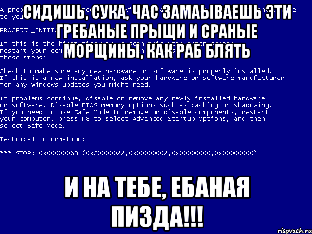 Сколько времени длится течка у суки и как она проходит?