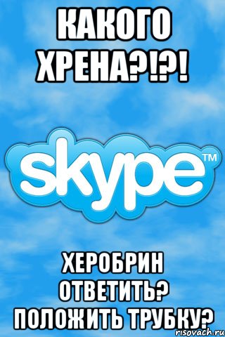 какого хрена?!?! ХЕРОБРИН Ответить? Положить трубку?, Мем скайп