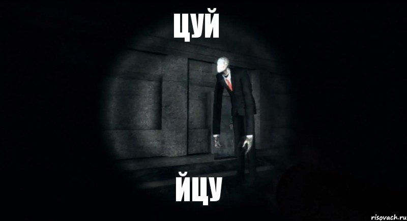 цуй йцу, Комикс slender the arrival