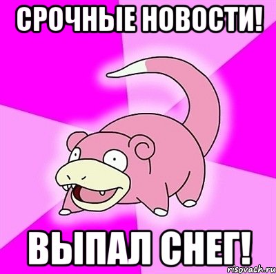 Срочные новости! Выпал снег!, Мем слоупок