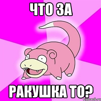 что за ракушка то?, Мем слоупок