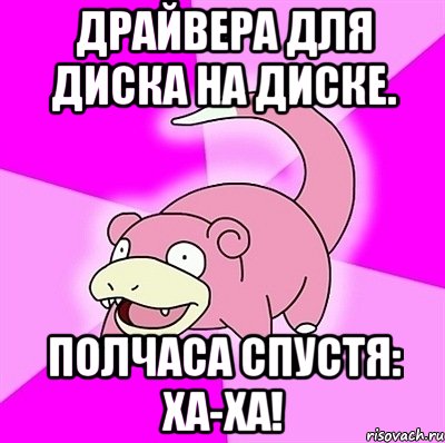 Драйвера для диска на диске. Полчаса спустя: Ха-Ха!, Мем слоупок