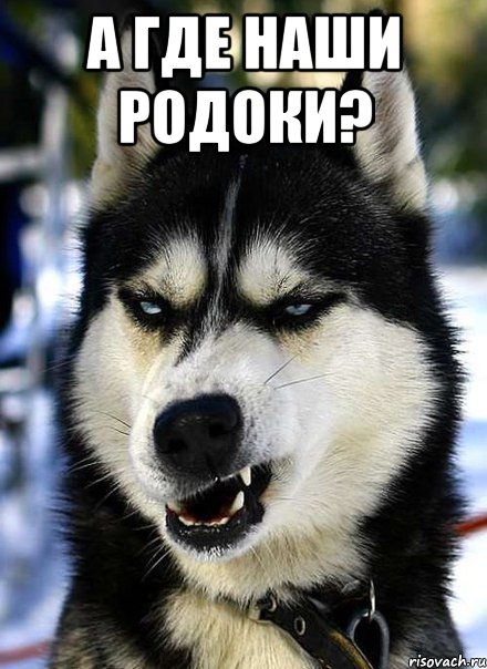 а где наши родоки? 