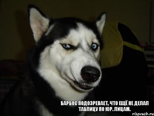 барбос подозревает, что ещё не делал таблицу по юр. лицам., Комикс  Собака подозревака