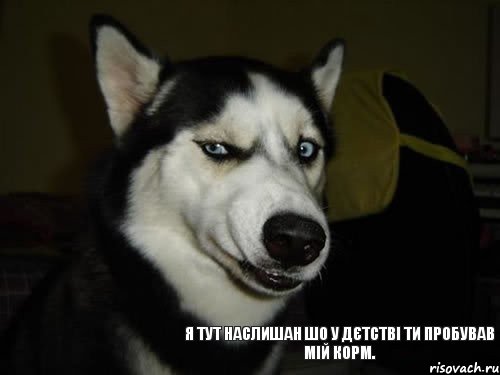 Я тут наслишан шо у дєтстві ти пробував мій корм., Комикс  Собака подозревака