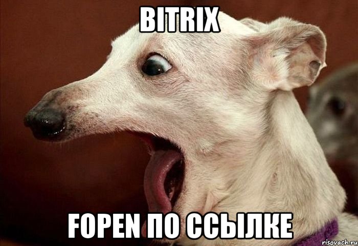 bitrix fopen по ссылке, Мем  собака
