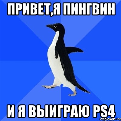 привет,я пингвин и я выиграю ps4, Мем  Социально-неуклюжий пингвин