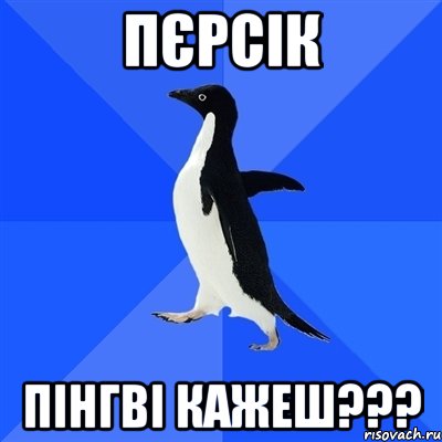 ПєРСІК ПІНГВІ КАЖЕШ???, Мем  Социально-неуклюжий пингвин