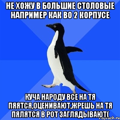 не хожу в большие столовые например как во 2 корпусе куча народу все на тя пяятся,оценивают,жрешь на тя пялятся в рот заглядывают(, Мем  Социально-неуклюжий пингвин