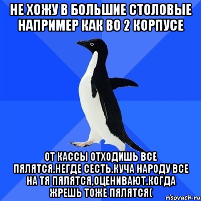 не хожу в большие столовые например как во 2 корпусе от кассы отходишь все пялятся.негде сесть.куча народу все на тя пялятся,оценивают.когда жрешь тоже пялятся(, Мем  Социально-неуклюжий пингвин