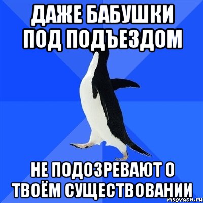 даже бабушки под подъездом не подозревают о твоём существовании, Мем  Социально-неуклюжий пингвин