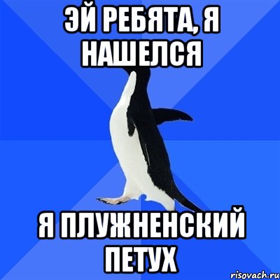 Эй ребята, я нашелся я плужненский петух, Мем  Социально-неуклюжий пингвин