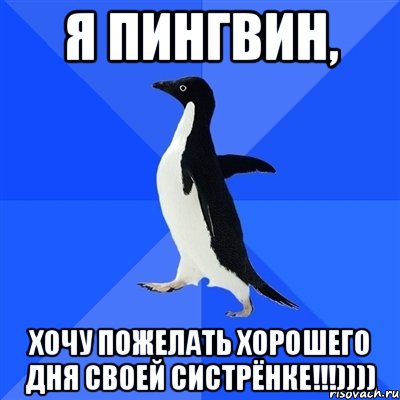 Я пингвин, хочу пожелать хорошего дня своей систрёнке!!!)))), Мем  Социально-неуклюжий пингвин