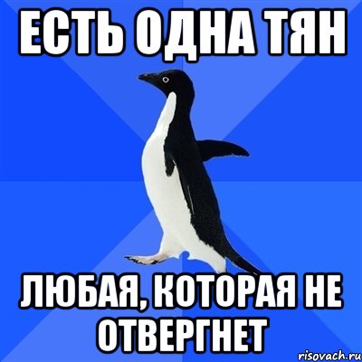 есть одна тян любая, которая не отвергнет, Мем  Социально-неуклюжий пингвин