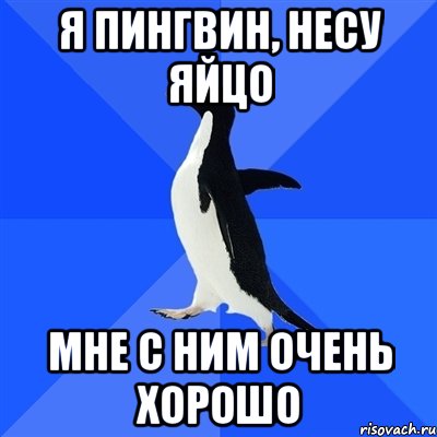 Я пингвин, несу яйцо мне с ним очень хорошо, Мем  Социально-неуклюжий пингвин
