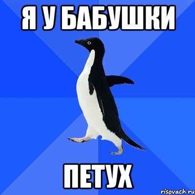 я у бабушки ПЕТУХ, Мем  Социально-неуклюжий пингвин