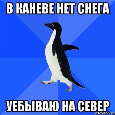 В КАНЕВЕ НЕТ СНЕГА УЕБЫВАЮ НА СЕВЕР, Мем  Социально-неуклюжий пингвин