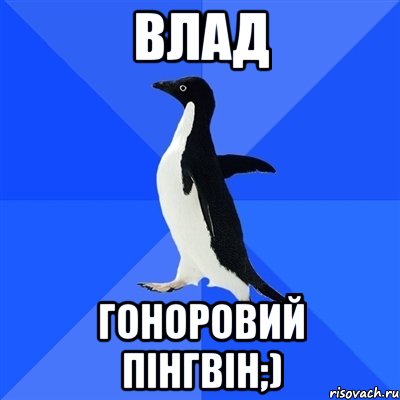 Влад Гоноровий пінгвін;), Мем  Социально-неуклюжий пингвин